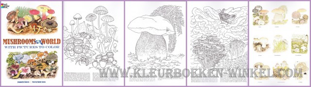 DZ 103 mushrooms, kleurboek dieren en natuur