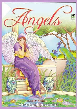 DZ 15 angels,kleurboek feeëriek