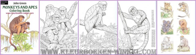 DZ 80 monkeys and apes 47 pagina's, 14 voorbeelden, kleurboeken dieren en natuur