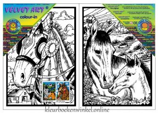 B43 B44 viltkleurplaten shire paard en merrie