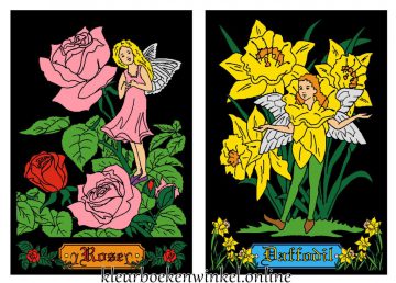 B65 B66 viltkleurplaten roos en bloemenfee voorbeeld